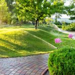 Curb Appeal Landscaping in Odessa, Texas
