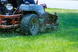 The Don’ts of Lawn Care