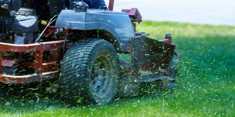 The Don’ts of Lawn Care