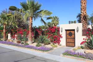A Professional Guide to Xeriscape Landscaping